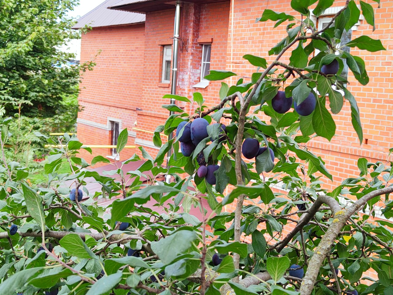 Апартаменты Студии на Гражданской Владимир-20