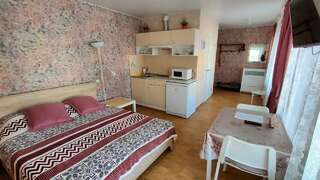 Апартаменты Студии на Гражданской Владимир Улучшенный двухместный номер с 1 кроватью-3