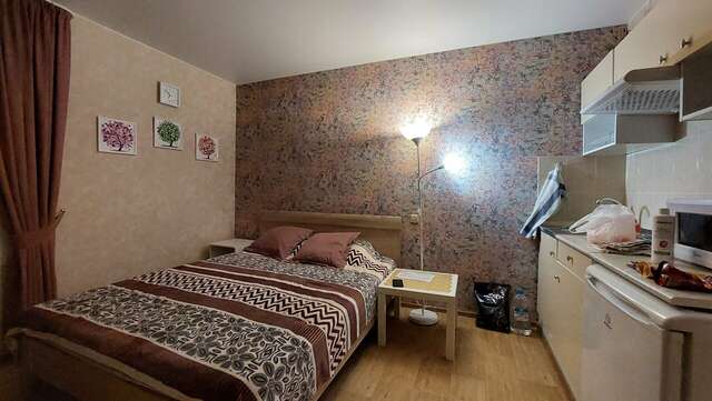 Апартаменты Студии на Гражданской Владимир-121