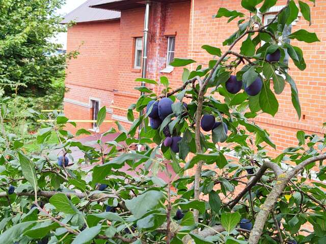 Апартаменты Студии на Гражданской Владимир-19